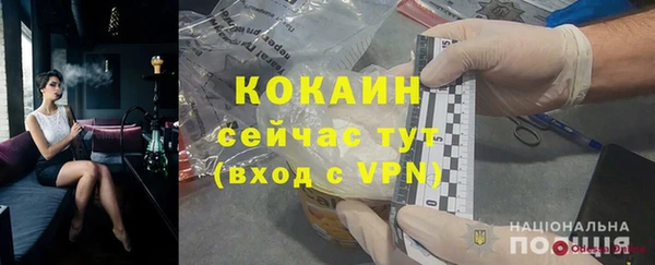 прущие грибы Абинск