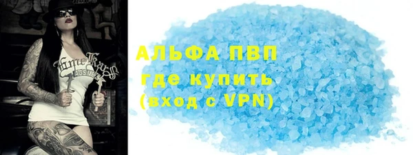 прущие грибы Абинск