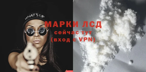прущие грибы Абинск