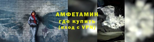 прущие грибы Абинск