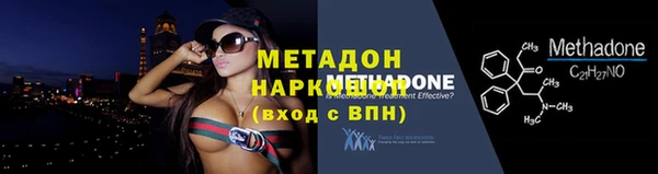 прущие грибы Абинск