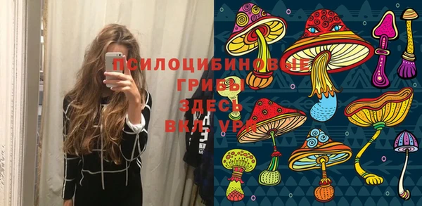 прущие грибы Абинск