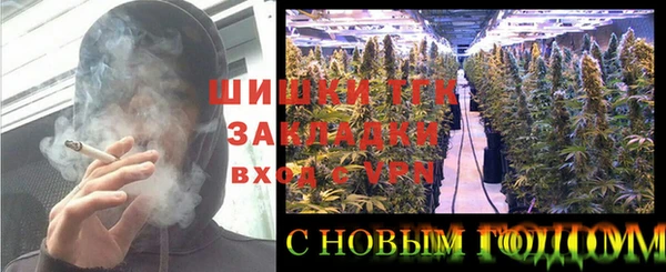 прущие грибы Абинск