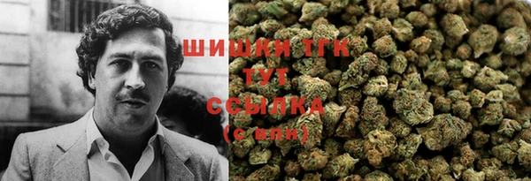 прущие грибы Абинск