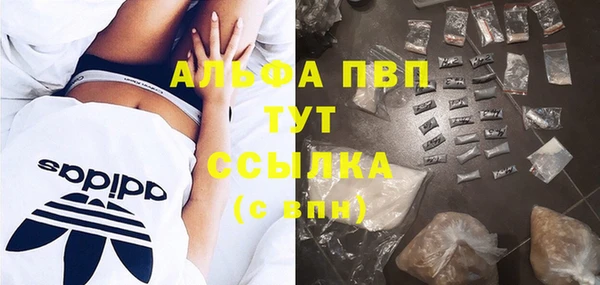 прущие грибы Абинск
