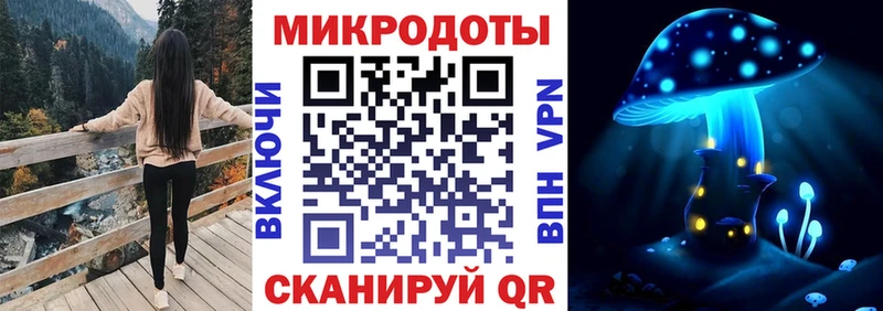 даркнет сайт Кимовск Псилоцибиновые грибы Cubensis