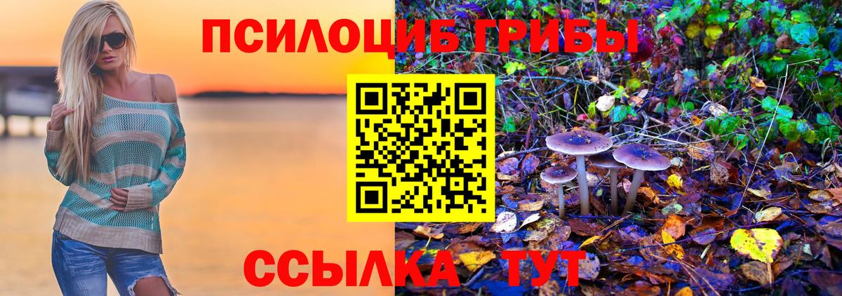 Кимовск  Псилоцибиновые грибы Cubensis  Вход с VPN 